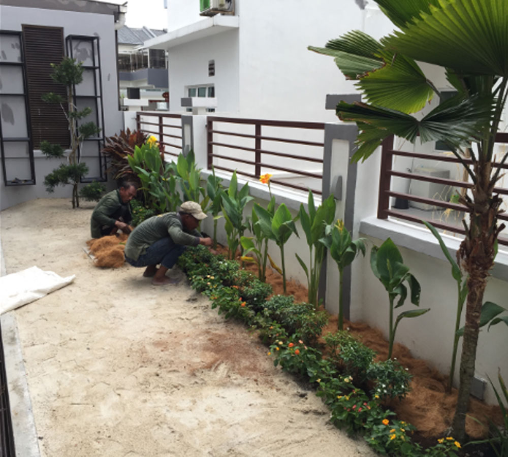LANDSCAPING FOR SEMI DE HOUSE